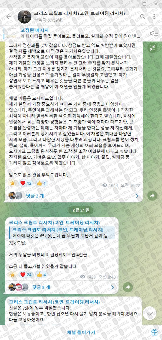 이 사진은 담덕법률사무소에서 캡쳐해둔 크리스(NFA) 웹사이트 캡쳐 사진이며 URL은 t.me 입니다.