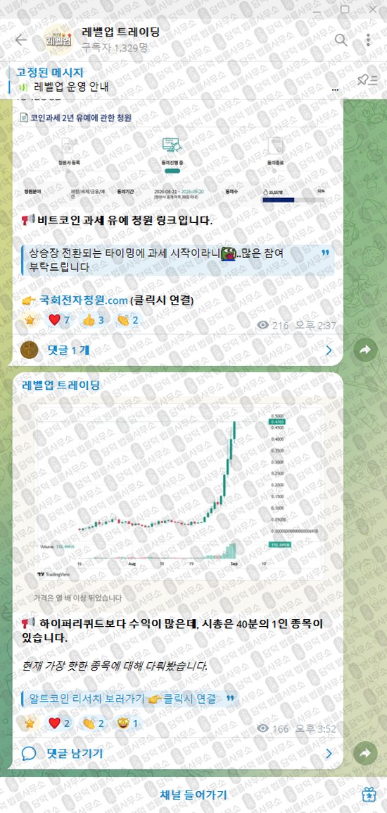 이 사진은 담덕법률사무소에서 캡쳐해둔 레벨업(VIP) 웹사이트 캡쳐 사진이며 URL은 t.me 입니다.