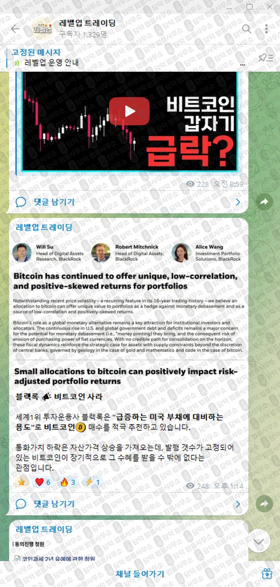 이 사진은 담덕법률사무소에서 캡쳐해둔 레벨업(VIP) 웹사이트 캡쳐 사진이며 URL은 t.me 입니다.