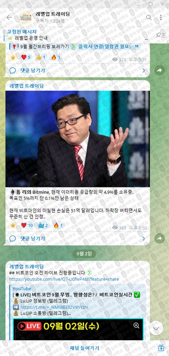 이 사진은 담덕법률사무소에서 캡쳐해둔 레벨업(VIP) 웹사이트 캡쳐 사진이며 URL은 t.me 입니다.