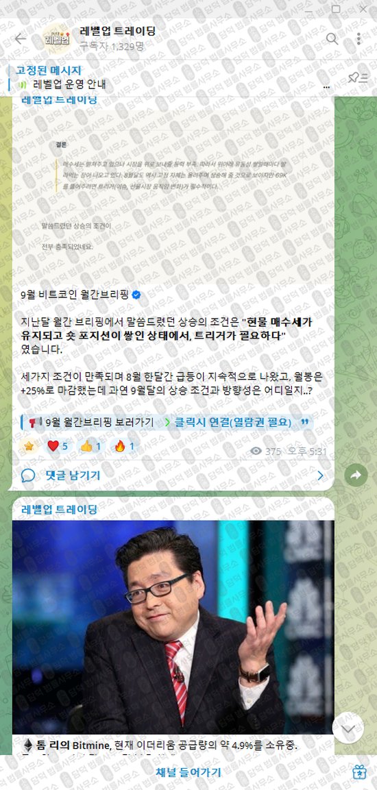 이 사진은 담덕법률사무소에서 캡쳐해둔 레벨업(VIP) 웹사이트 캡쳐 사진이며 URL은 t.me 입니다.