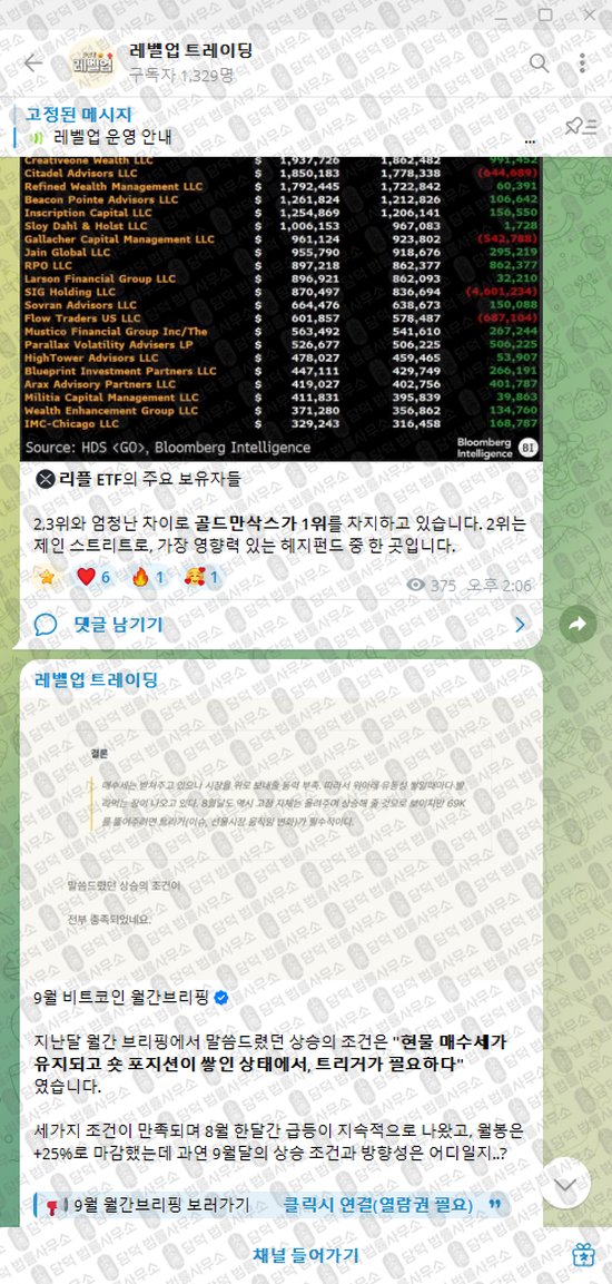 이 사진은 담덕법률사무소에서 캡쳐해둔 레벨업(VIP) 웹사이트 캡쳐 사진이며 URL은 t.me 입니다.