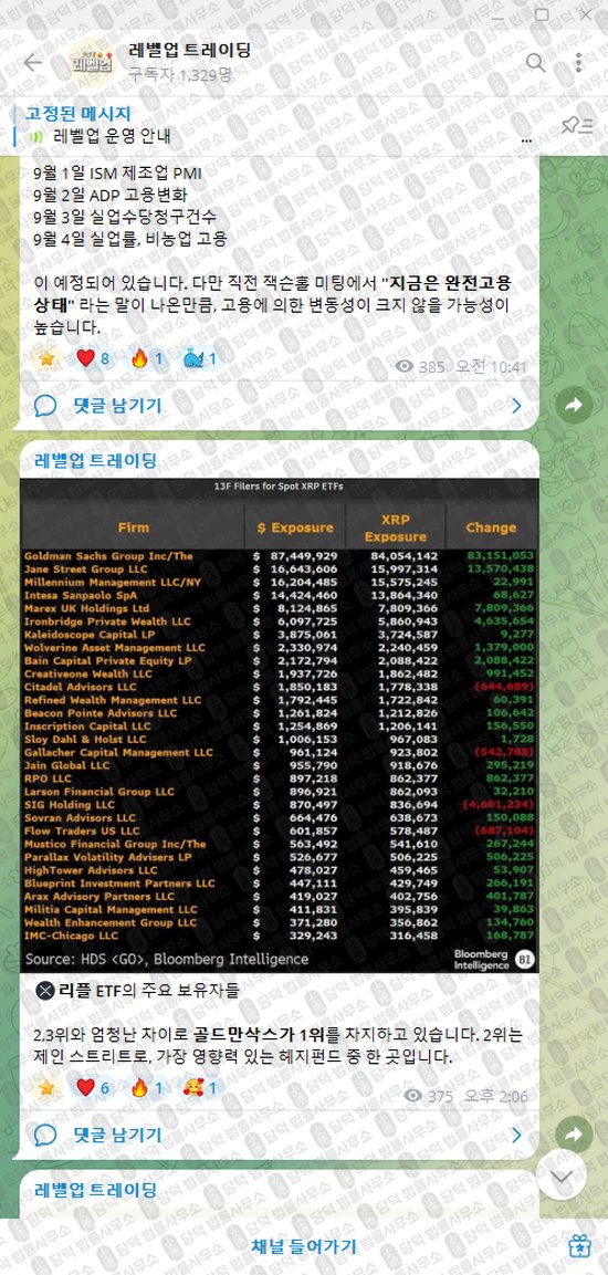 이 사진은 담덕법률사무소에서 캡쳐해둔 레벨업(VIP) 웹사이트 캡쳐 사진이며 URL은 t.me 입니다.