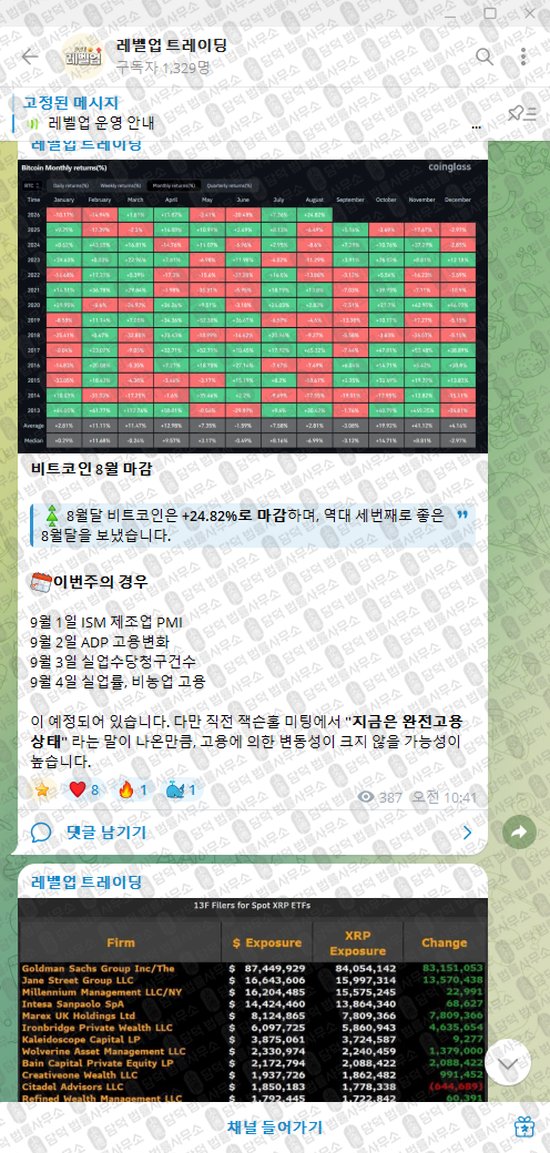 이 사진은 담덕법률사무소에서 캡쳐해둔 레벨업(VIP) 웹사이트 캡쳐 사진이며 URL은 t.me 입니다.