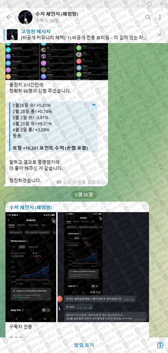 이 사진은 담덕법률사무소에서 캡쳐해둔 수저(VIP) 웹사이트 캡쳐 사진이며 URL은 t.me 입니다.