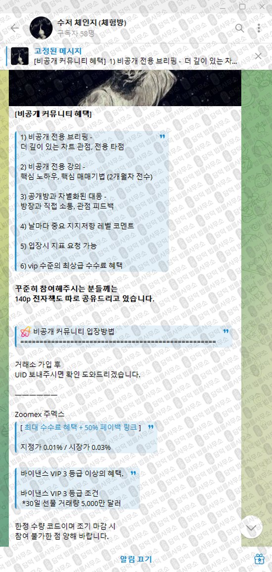 이 사진은 담덕법률사무소에서 캡쳐해둔 수저(VIP) 웹사이트 캡쳐 사진이며 URL은 t.me 입니다.
