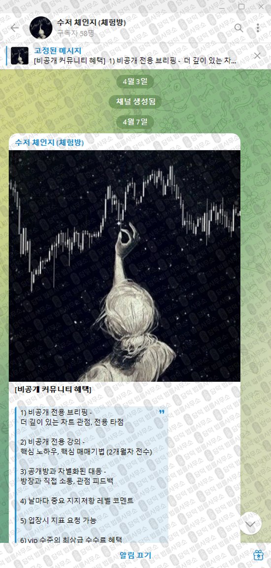 이 사진은 담덕법률사무소에서 캡쳐해둔 수저(VIP) 웹사이트 캡쳐 사진이며 URL은 t.me 입니다.