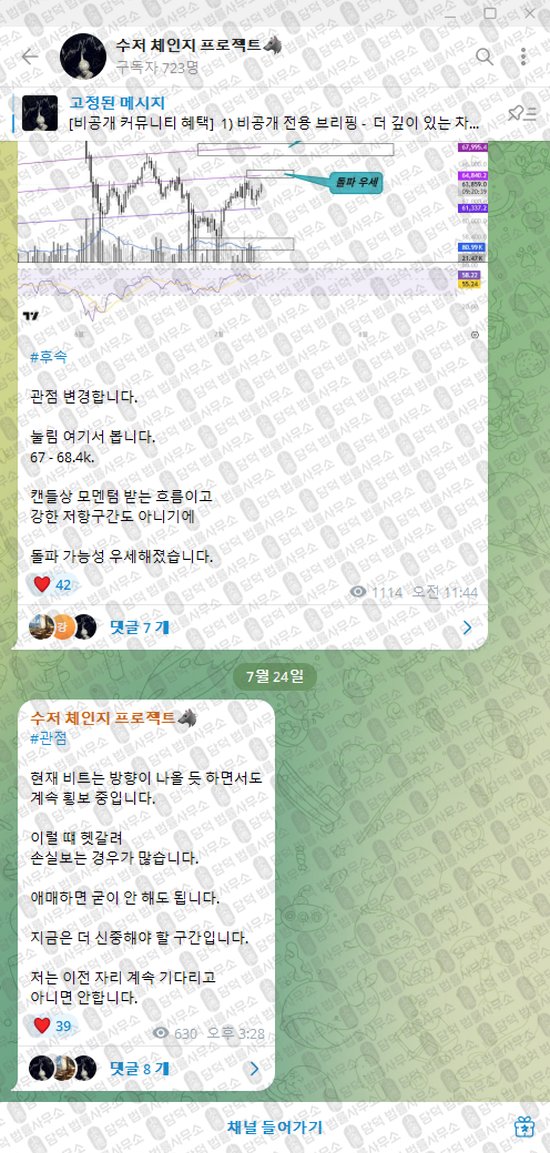 이 사진은 담덕법률사무소에서 캡쳐해둔 수저(VIP) 웹사이트 캡쳐 사진이며 URL은 t.me 입니다.