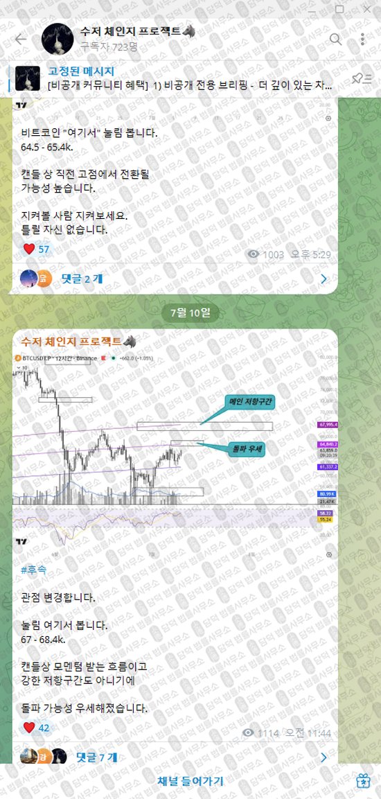 이 사진은 담덕법률사무소에서 캡쳐해둔 수저(VIP) 웹사이트 캡쳐 사진이며 URL은 t.me 입니다.