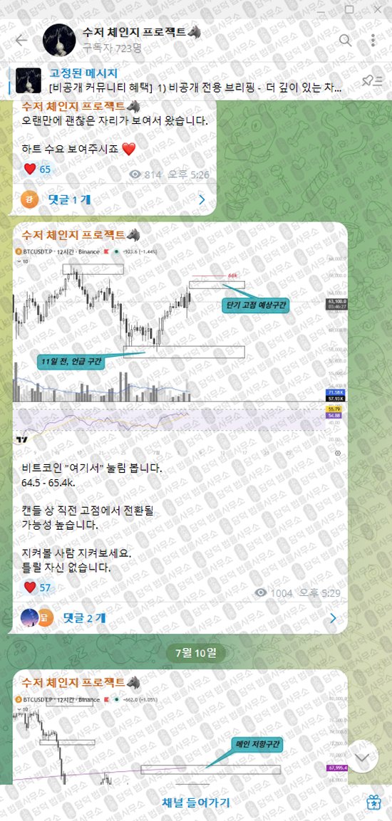 이 사진은 담덕법률사무소에서 캡쳐해둔 수저(VIP) 웹사이트 캡쳐 사진이며 URL은 t.me 입니다.
