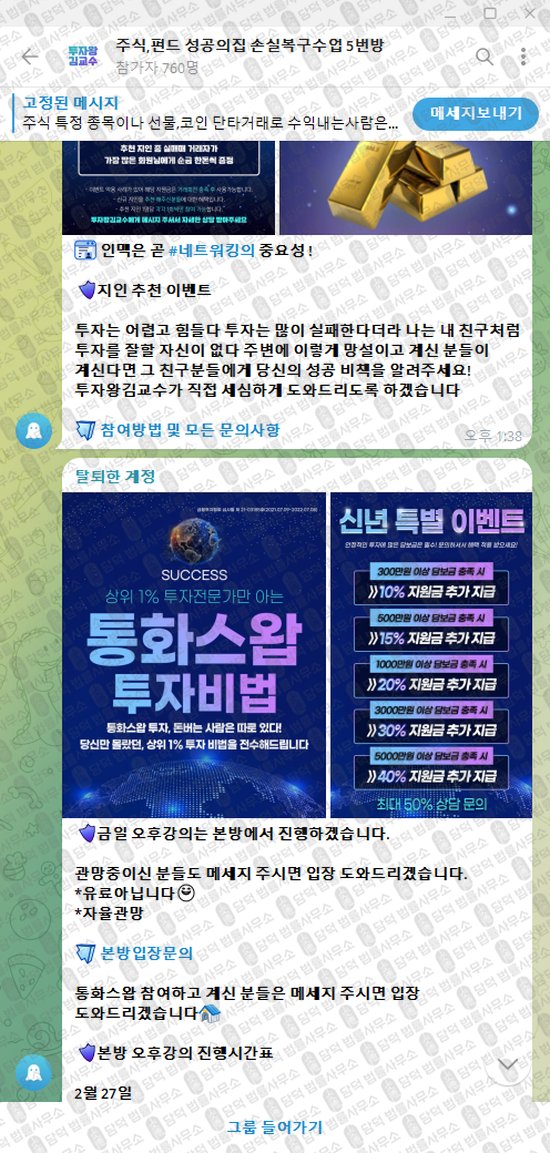 이 사진은 담덕법률사무소에서 캡쳐해둔 투자왕(VIP) 웹사이트 캡쳐 사진이며 URL은 t.me 입니다.