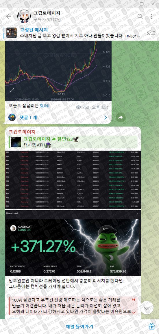 이 사진은 담덕법률사무소에서 캡쳐해둔 크립토메이지(VIP) 웹사이트 캡쳐 사진이며 URL은 t.me 입니다.