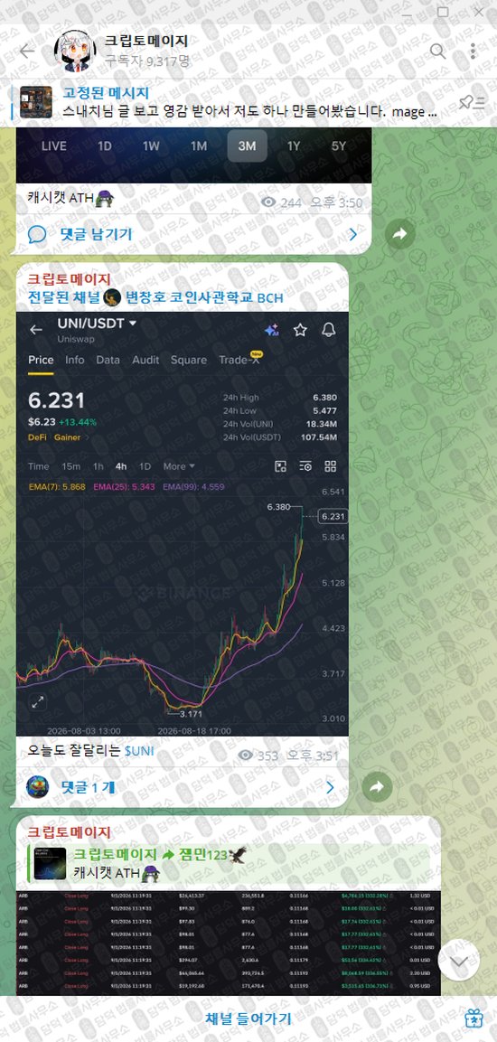 이 사진은 담덕법률사무소에서 캡쳐해둔 크립토메이지(VIP) 웹사이트 캡쳐 사진이며 URL은 t.me 입니다.