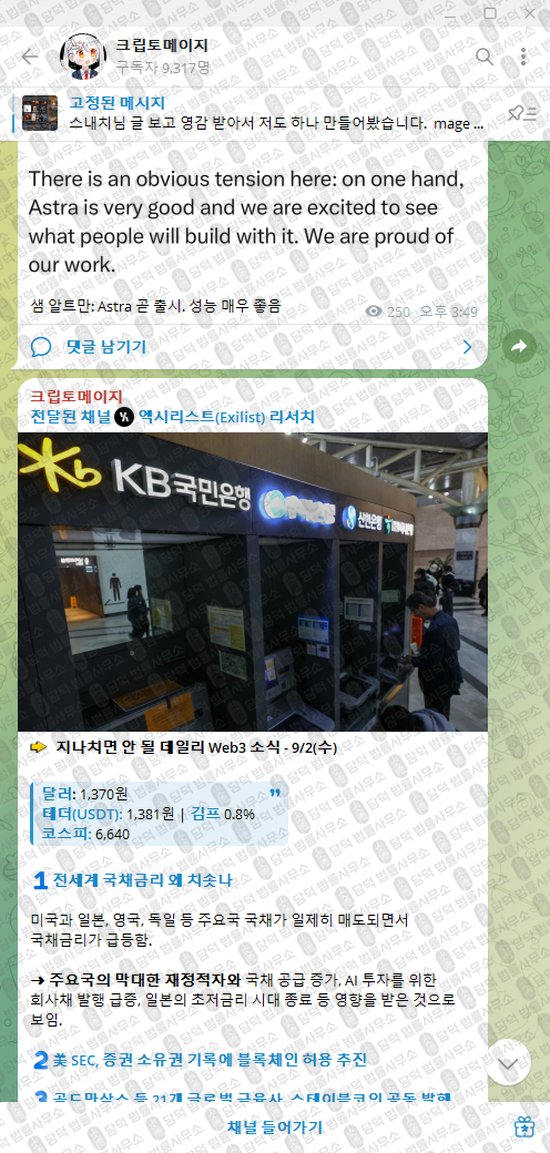 이 사진은 담덕법률사무소에서 캡쳐해둔 크립토메이지(VIP) 웹사이트 캡쳐 사진이며 URL은 t.me 입니다.