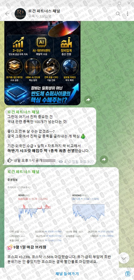 이 사진은 담덕법률사무소에서 캡쳐해둔 로건(VIP) 웹사이트 캡쳐 사진이며 URL은 t.me 입니다.