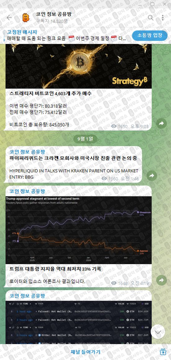 이 사진은 담덕법률사무소에서 캡쳐해둔 정보(VIP) 웹사이트 캡쳐 사진이며 URL은 t.me 입니다.