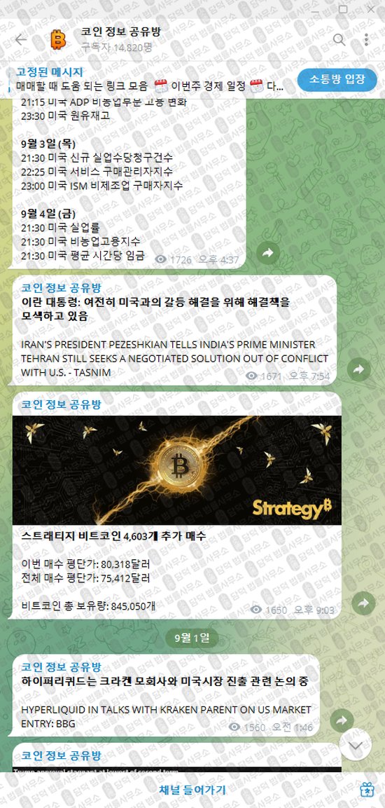이 사진은 담덕법률사무소에서 캡쳐해둔 정보(VIP) 웹사이트 캡쳐 사진이며 URL은 t.me 입니다.