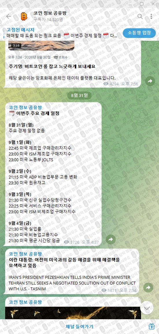 이 사진은 담덕법률사무소에서 캡쳐해둔 정보(VIP) 웹사이트 캡쳐 사진이며 URL은 t.me 입니다.