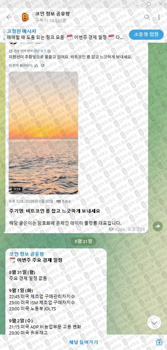 이 사진은 담덕법률사무소에서 캡쳐해둔 정보(VIP) 웹사이트 캡쳐 사진이며 URL은 t.me 입니다.