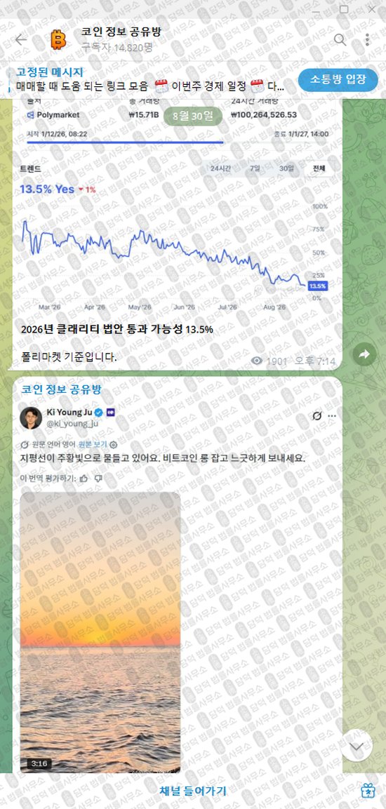 이 사진은 담덕법률사무소에서 캡쳐해둔 정보(VIP) 웹사이트 캡쳐 사진이며 URL은 t.me 입니다.