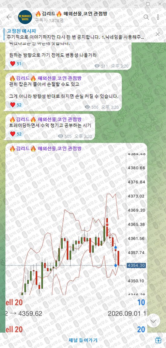 이 사진은 담덕법률사무소에서 캡쳐해둔 김리드(VIP) 웹사이트 캡쳐 사진이며 URL은 t.me 입니다.