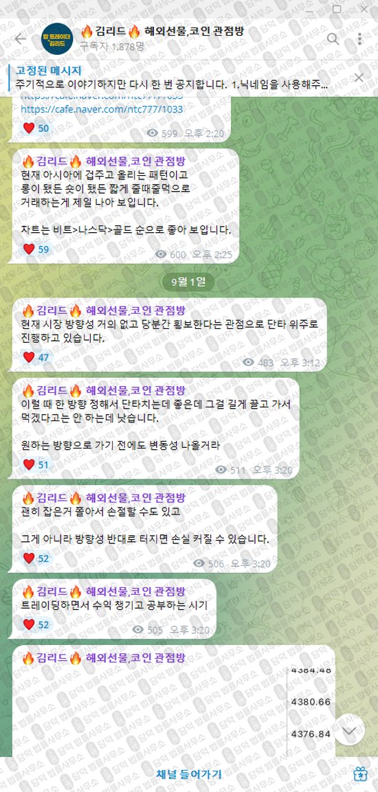 이 사진은 담덕법률사무소에서 캡쳐해둔 김리드(VIP) 웹사이트 캡쳐 사진이며 URL은 t.me 입니다.