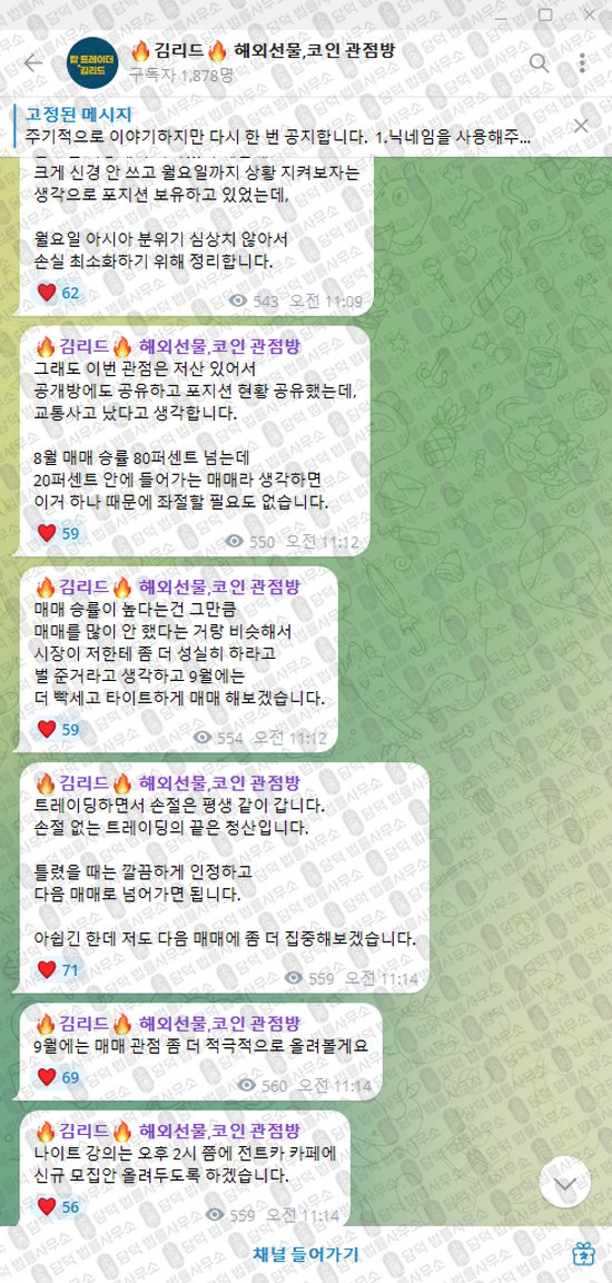 이 사진은 담덕법률사무소에서 캡쳐해둔 김리드(VIP) 웹사이트 캡쳐 사진이며 URL은 t.me 입니다.
