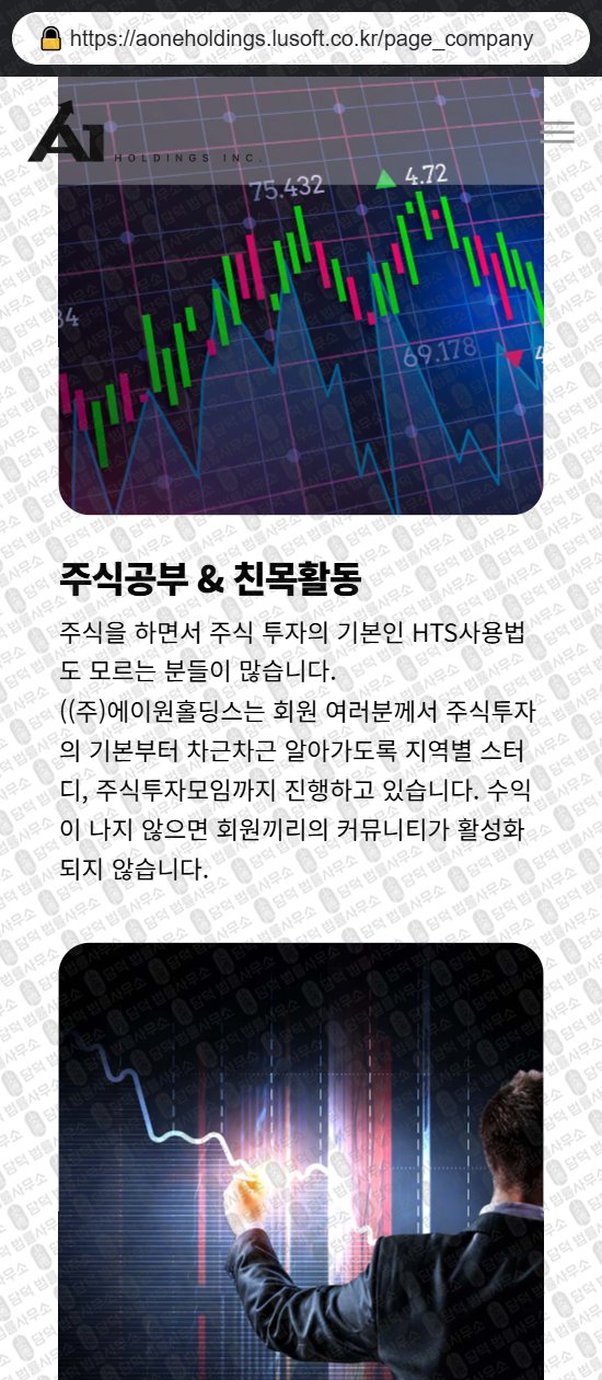 이 사진은 담덕법률사무소에서 캡쳐해둔 에이원홀딩스(ONE Holdings) 웹사이트 캡쳐 사진이며 URL은 lusoft.co.kr 입니다.