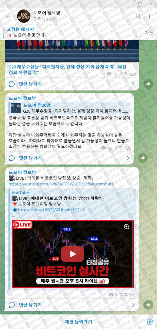 이 사진은 담덕법률사무소에서 캡쳐해둔 노모어(VIP) 웹사이트 캡쳐 사진이며 URL은 t.me 입니다.