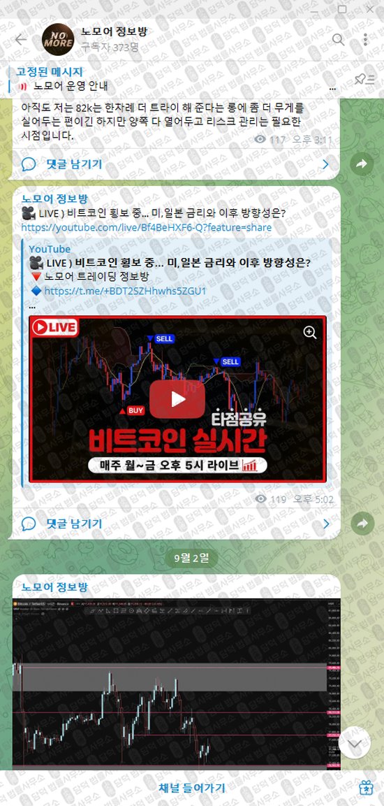 이 사진은 담덕법률사무소에서 캡쳐해둔 노모어(VIP) 웹사이트 캡쳐 사진이며 URL은 t.me 입니다.