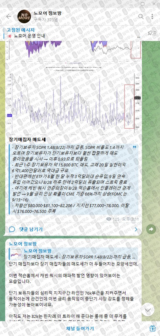 이 사진은 담덕법률사무소에서 캡쳐해둔 노모어(VIP) 웹사이트 캡쳐 사진이며 URL은 t.me 입니다.