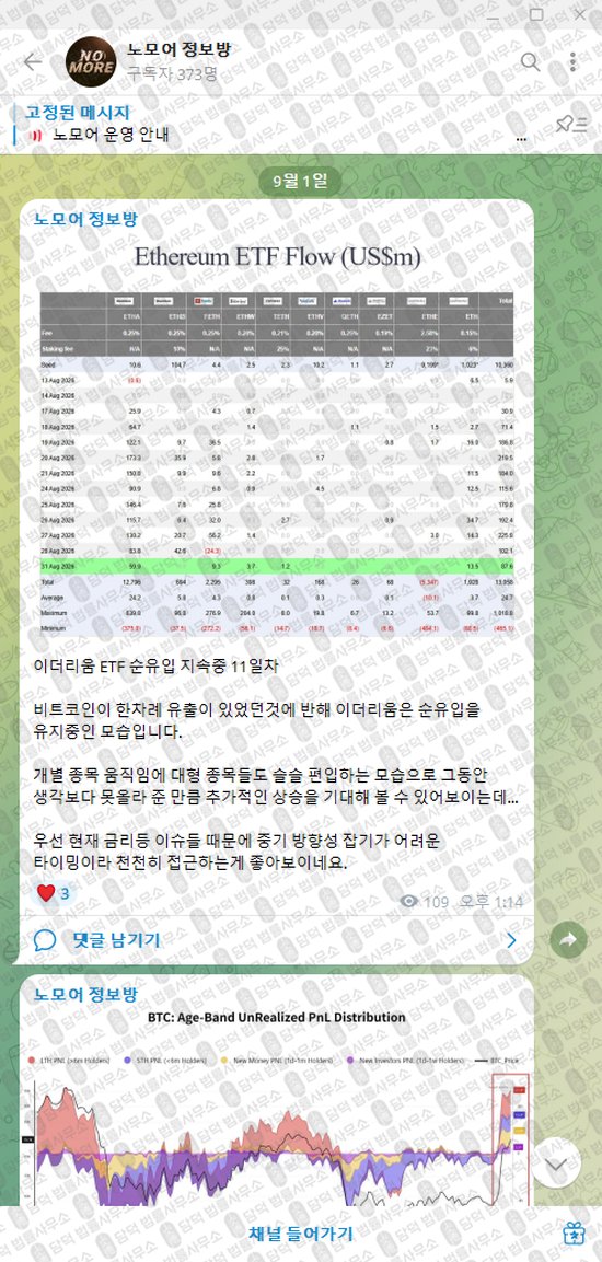이 사진은 담덕법률사무소에서 캡쳐해둔 노모어(VIP) 웹사이트 캡쳐 사진이며 URL은 t.me 입니다.