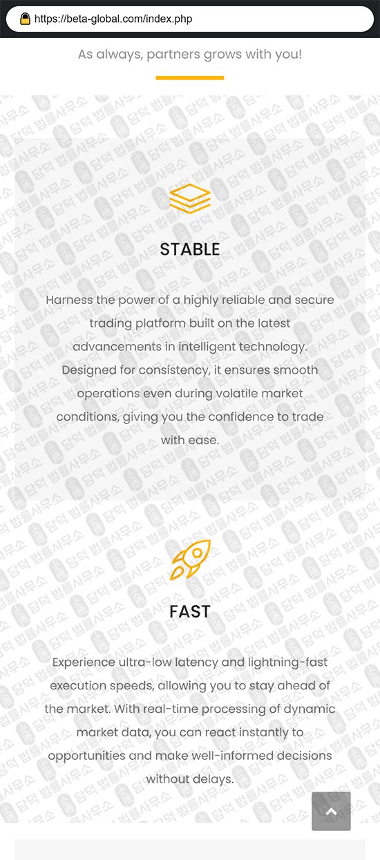 이 사진은 담덕법률사무소에서 캡쳐해둔 사칭(BetaGlobal) 웹사이트 캡쳐 사진이며 URL은 beta-global.com 입니다.