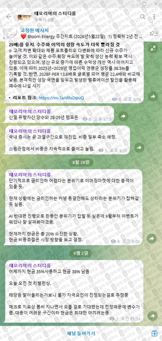 이 사진은 담덕법률사무소에서 캡쳐해둔 테오리아의(VIP) 웹사이트 캡쳐 사진이며 URL은 t.me 입니다.