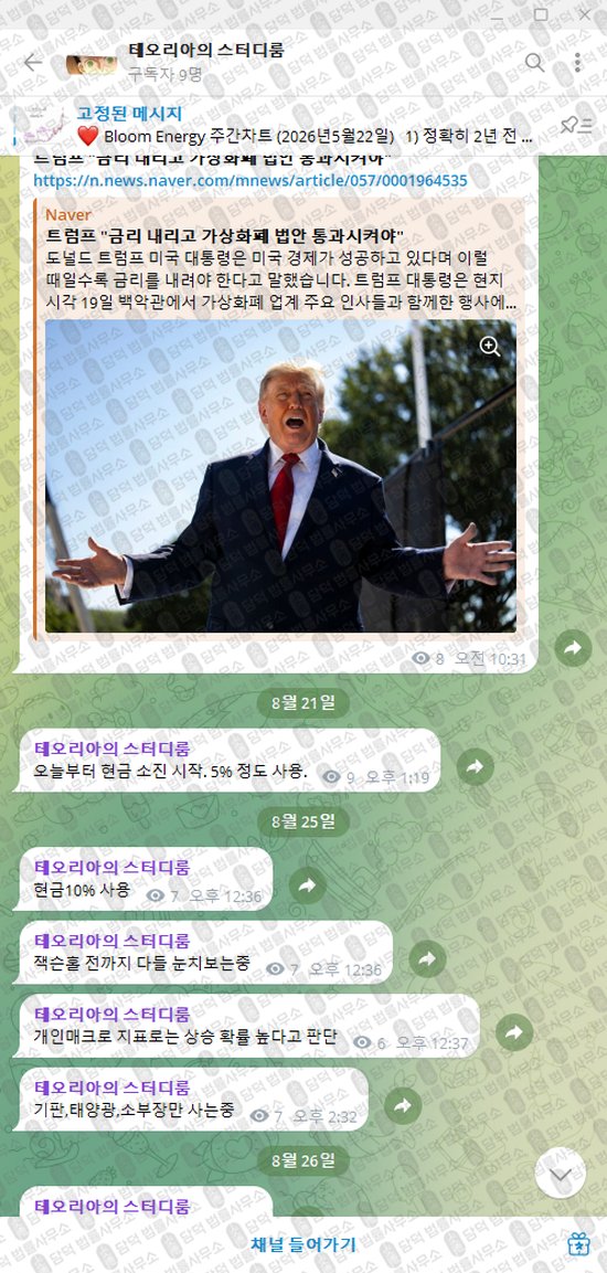 이 사진은 담덕법률사무소에서 캡쳐해둔 테오리아의(VIP) 웹사이트 캡쳐 사진이며 URL은 t.me 입니다.