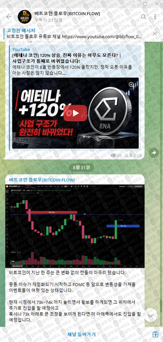 이 사진은 담덕법률사무소에서 캡쳐해둔 비트코인(BITCOIN FLOW) 웹사이트 캡쳐 사진이며 URL은 t.me 입니다.