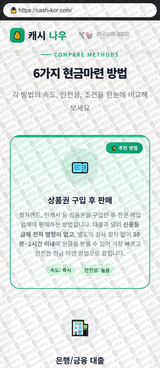 이 사진은 담덕법률사무소에서 캡쳐해둔 캐시나우(PIN) 웹사이트 캡쳐 사진이며 URL은 cash-kor.com 입니다.