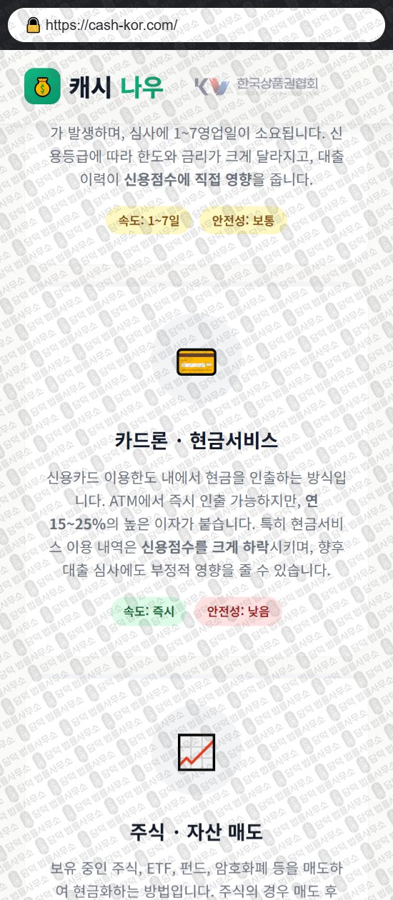 이 사진은 담덕법률사무소에서 캡쳐해둔 캐시나우(PIN) 웹사이트 캡쳐 사진이며 URL은 cash-kor.com 입니다.