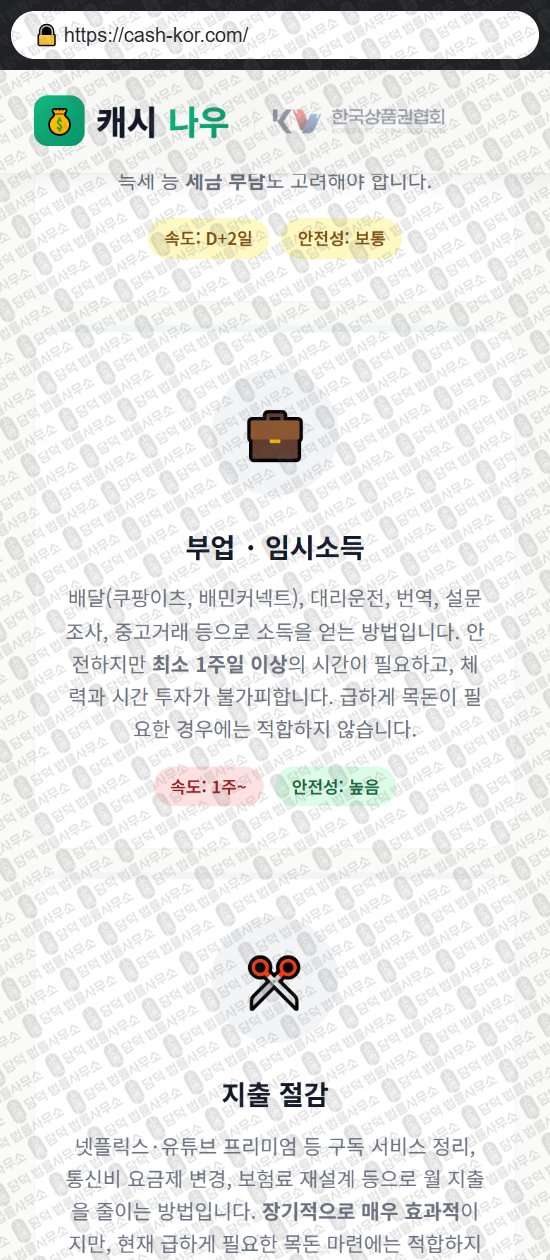 이 사진은 담덕법률사무소에서 캡쳐해둔 캐시나우(PIN) 웹사이트 캡쳐 사진이며 URL은 cash-kor.com 입니다.