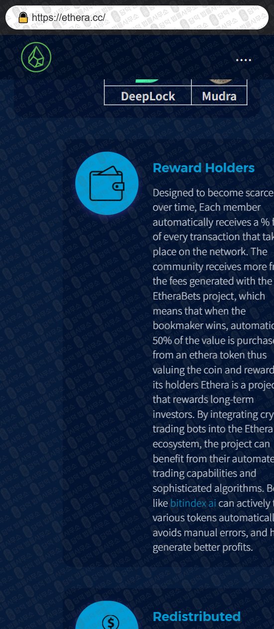 이 사진은 담덕법률사무소에서 캡쳐해둔 감사(ETHERA) 웹사이트 캡쳐 사진이며 URL은 ethera.cc 입니다.
