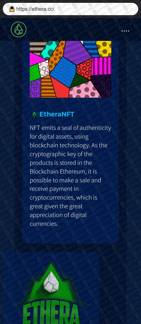 이 사진은 담덕법률사무소에서 캡쳐해둔 감사(ETHERA) 웹사이트 캡쳐 사진이며 URL은 ethera.cc 입니다.