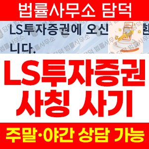 어플(LSFIN) 사기 피해 정보 · 담덕법률사무소