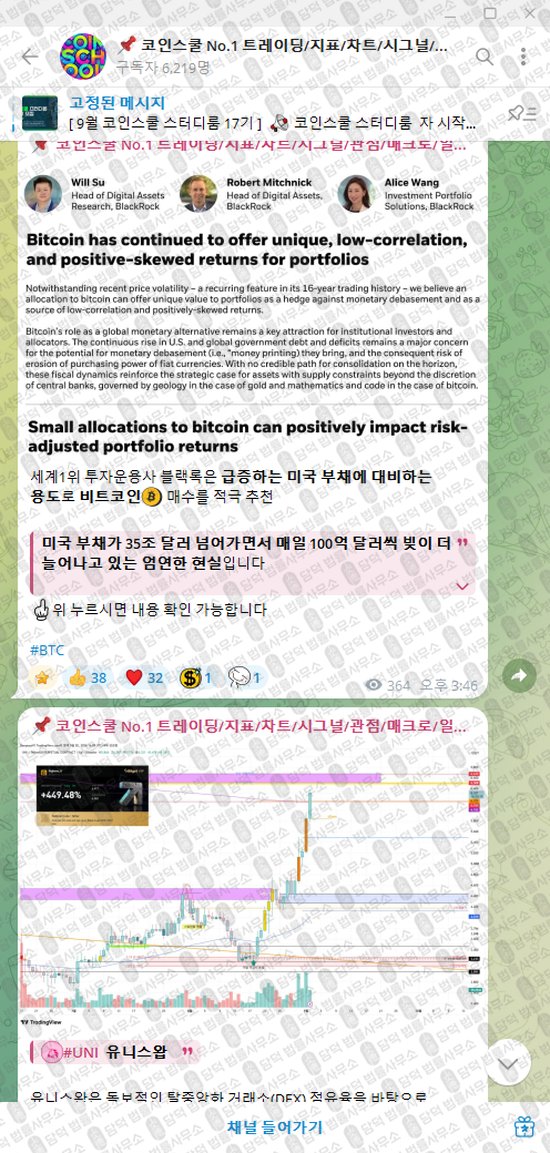 이 사진은 담덕법률사무소에서 캡쳐해둔 코인스쿨(No) 웹사이트 캡쳐 사진이며 URL은 t.me 입니다.