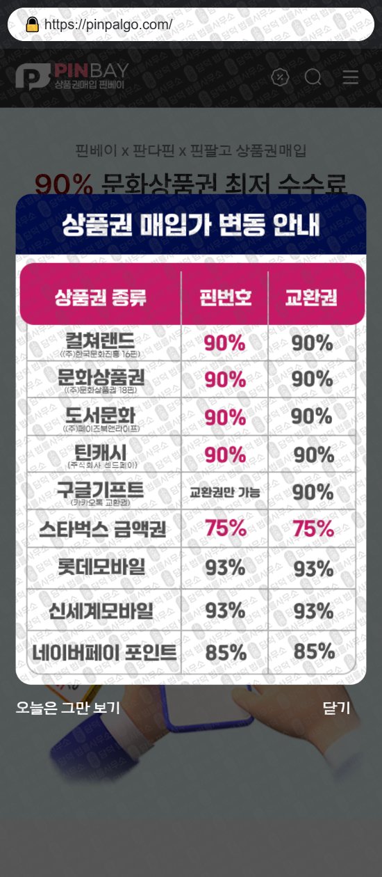 이 사진은 담덕법률사무소에서 캡쳐해둔 핀베이(URL) 웹사이트 캡쳐 사진이며 URL은 pinpalgo.com 입니다.