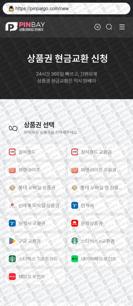 이 사진은 담덕법률사무소에서 캡쳐해둔 핀베이(URL) 웹사이트 캡쳐 사진이며 URL은 pinpalgo.com 입니다.