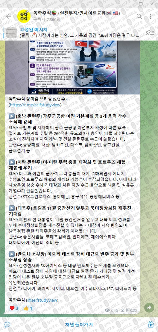 이 사진은 담덕법률사무소에서 캡쳐해둔 독학주식(VIP) 웹사이트 캡쳐 사진이며 URL은 t.me 입니다.
