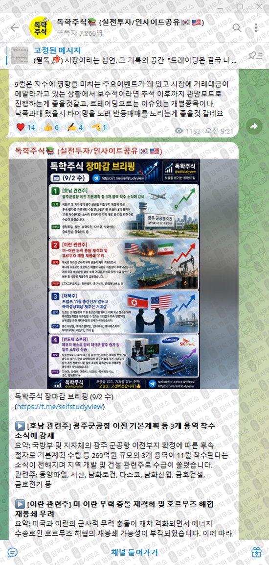 이 사진은 담덕법률사무소에서 캡쳐해둔 독학주식(VIP) 웹사이트 캡쳐 사진이며 URL은 t.me 입니다.