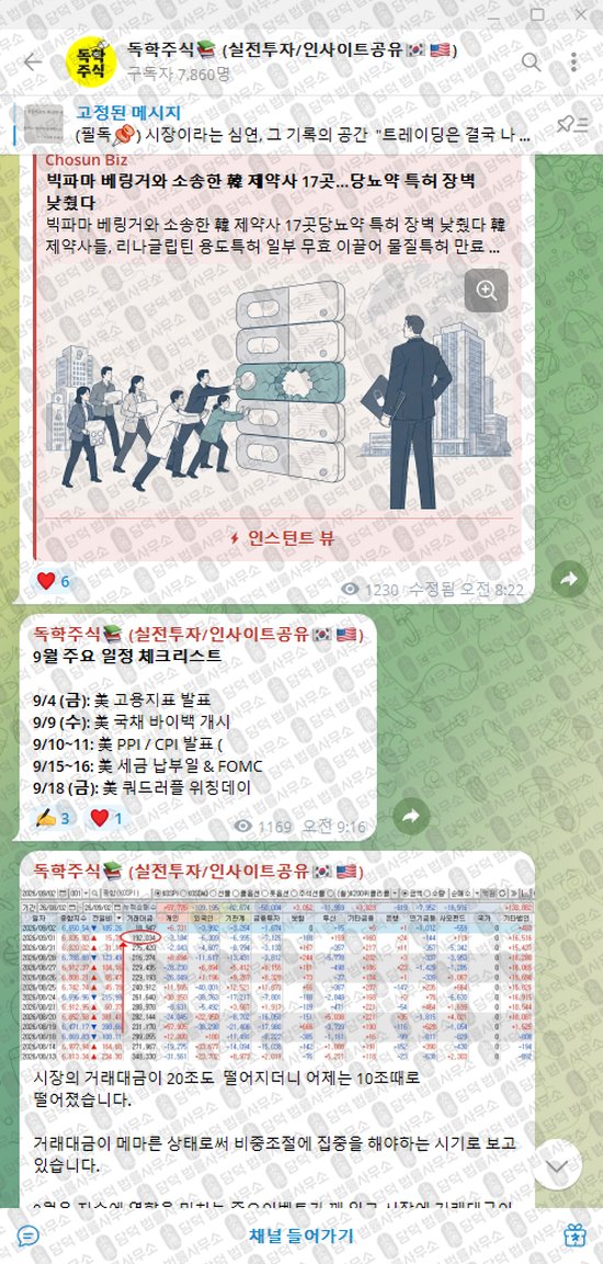 이 사진은 담덕법률사무소에서 캡쳐해둔 독학주식(VIP) 웹사이트 캡쳐 사진이며 URL은 t.me 입니다.