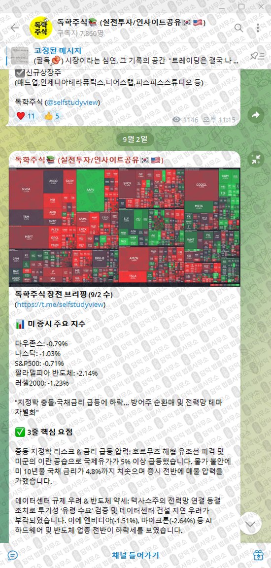 이 사진은 담덕법률사무소에서 캡쳐해둔 독학주식(VIP) 웹사이트 캡쳐 사진이며 URL은 t.me 입니다.