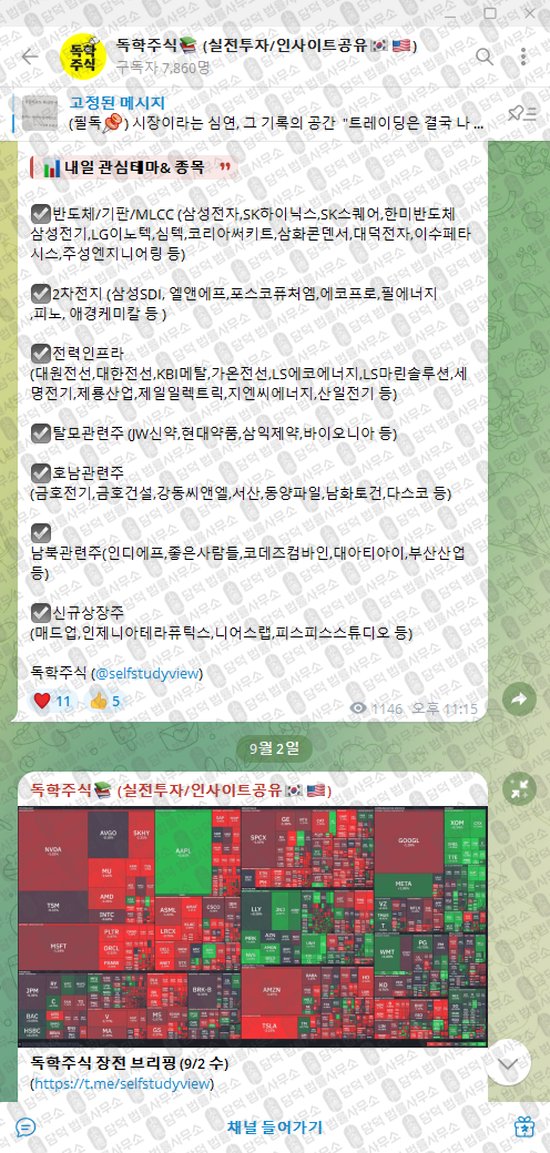 이 사진은 담덕법률사무소에서 캡쳐해둔 독학주식(VIP) 웹사이트 캡쳐 사진이며 URL은 t.me 입니다.